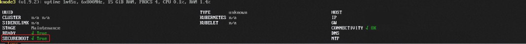 SecureBoot True